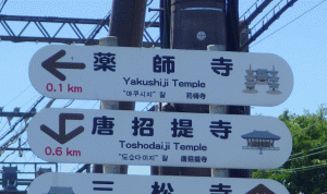 Yakusiji3